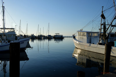 Fulton Marina