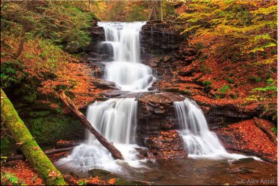Tuscarora Falls - Ricketts Glen State Park, 