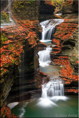 Watkins Glen State Park