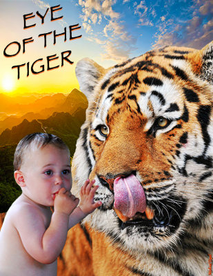Eye of the Tiger