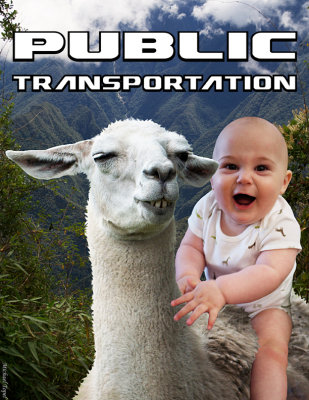 Public Transportation