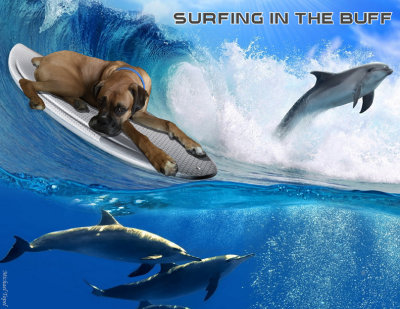 Surfing In The Buff