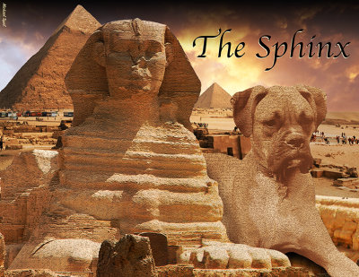 The Sphinx