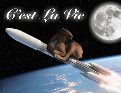 C'est La Vie