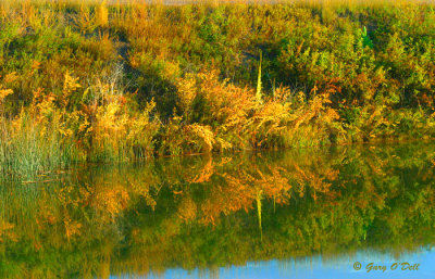 Colored-Reflections.jpg