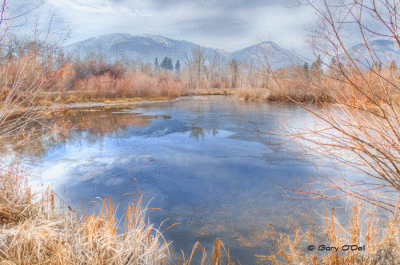 Pond-Reflections-HDR.gif