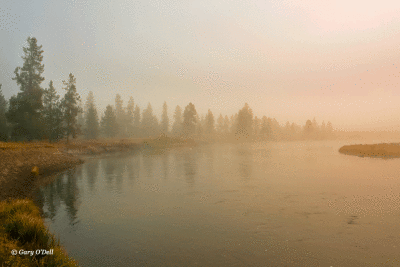 Foggy-Morning-On-The-Yellowstone-