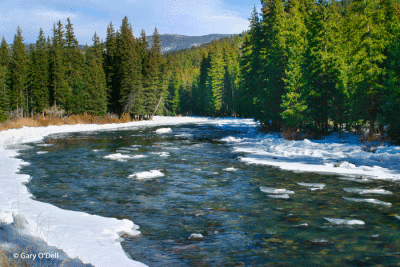 Ice-and-Snow-Gallatin-River.gif