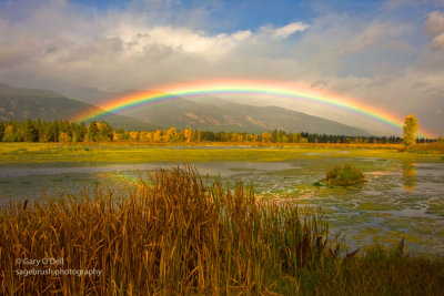 Rainbow Over The Refuge.jpg