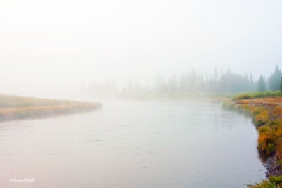 Foggy Morning On The Yellowstone