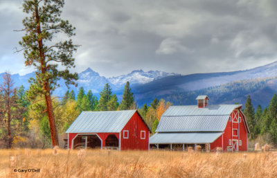 Rural-Montana-HDR.jpg
