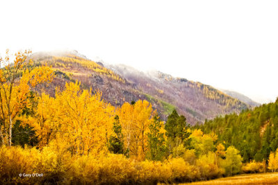 Autumn In The Rockies