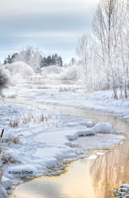 Frosty-Trees-HDR.jpg