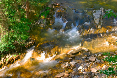 Milked-Rapids.jpg