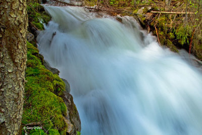 Whitewater Run-off