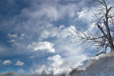 Winter Sky.jpg