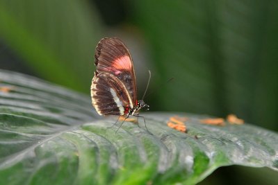 PC-DSC_5355.JPG