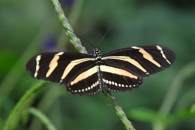 PC-DSC_5358.JPG