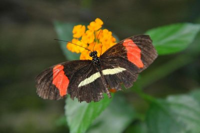 PC-DSC_5373.JPG