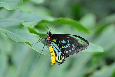 PC-DSC_5378.JPG