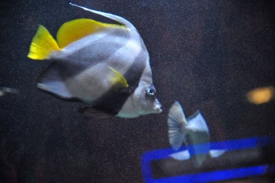 PC-DSC_8851.JPG