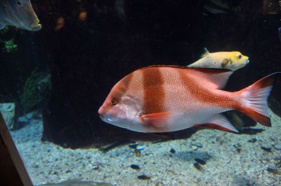 PC-DSC_8890.JPG