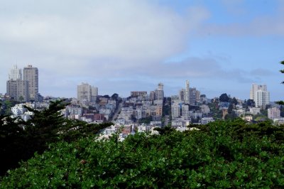 SF View from Coit Tower