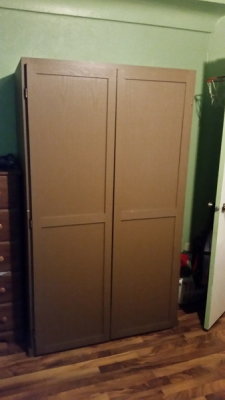 Wardrobe Painted.jpg