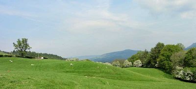 green fields, blue skies.  what more can one want?