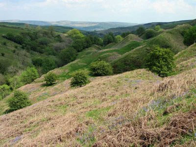 fabulous countryside