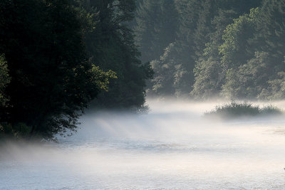 IMG_1547 Steam on the McKenzie River.jpg