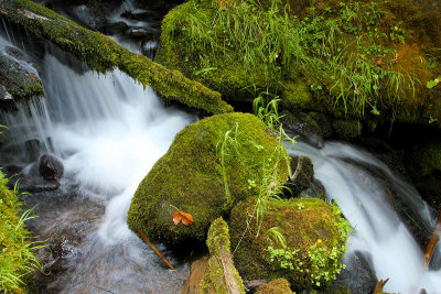 Oregon, California, Washington 2014