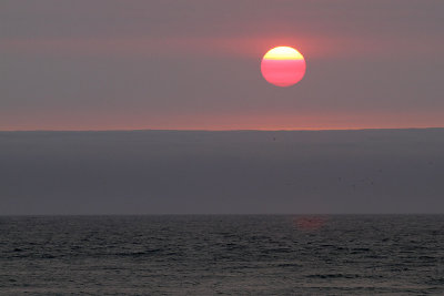IMG_3589 sunset sea and fog.jpg