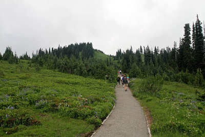 IMG_3863 Mt Rainier trail.jpg