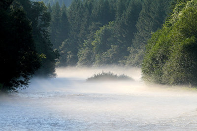 IMG_1543 McKenzie River Oregon.jpg