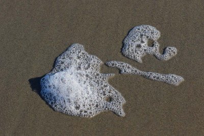 EE5A5095 Bubbles.jpg