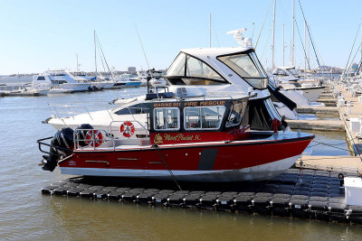 EE5A5398 Marine 501.jpg