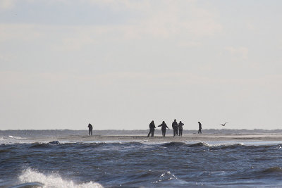 EE5A5738 Wild Dunes south of Ocean Club.jpg