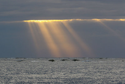 EE5A5821 Cloudy Sunrise.jpg