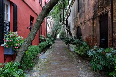 EE5A6310 Charleston alley.jpg