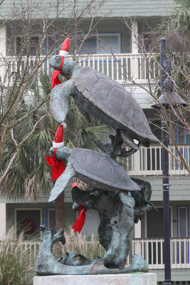EE5A6814 Christmas Turtles.jpg