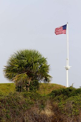 EE5A7034 Ft Moultrie flag.jpg