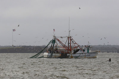 EE5A7100 Winds of Fortune passing Ft Sumter.jpg