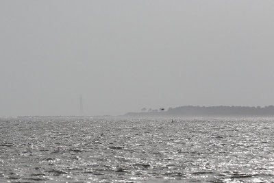 EE5A7120 Morris Island lighthouse from Ft Moultrie.jpg