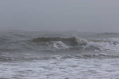 EE5A7580 Foggy surf.jpg