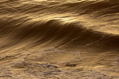 EE5A7723 waves.jpg