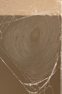 EE5A7745 Web.jpg