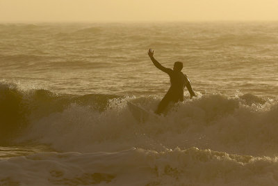 EE5A7858 Surfs up.jpg
