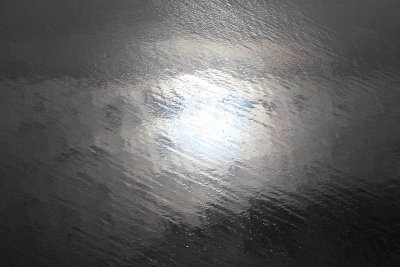 EE5A7866 Reflection.jpg