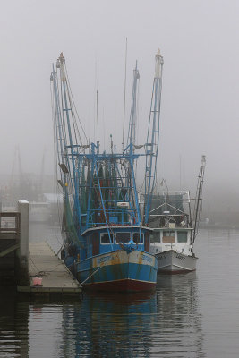 EE5A8168 Seahorse at Shem Creek.jpg